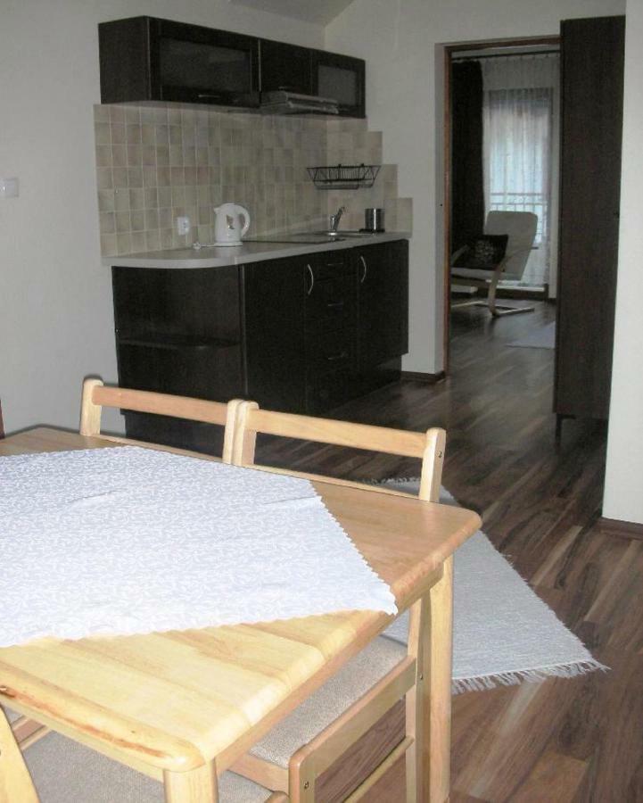 Apartamenty U Lutnika Centrum Zakopane Buitenkant foto