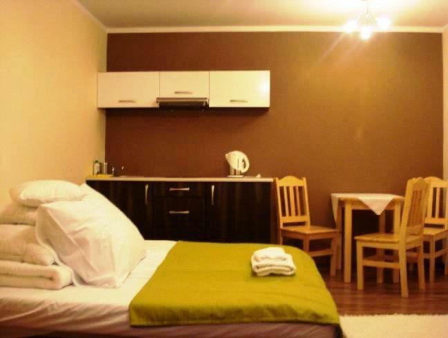 Apartamenty U Lutnika Centrum Zakopane Buitenkant foto